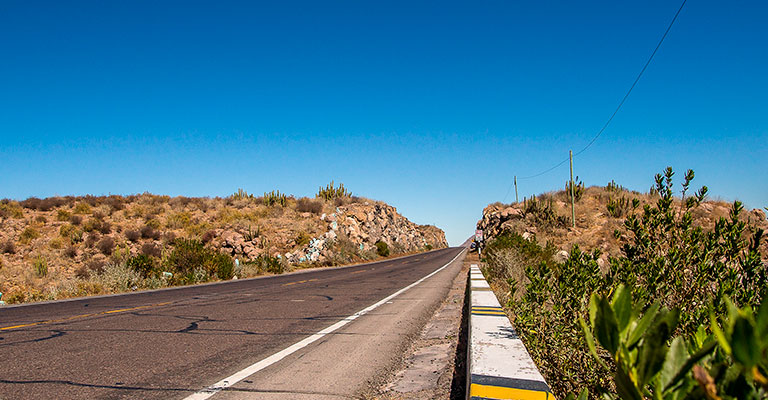 Paso a paso para tramitar placas en Baja California