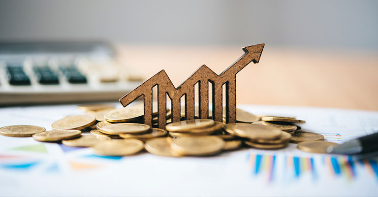 Qué son los Seguros de vida con planes de inversión