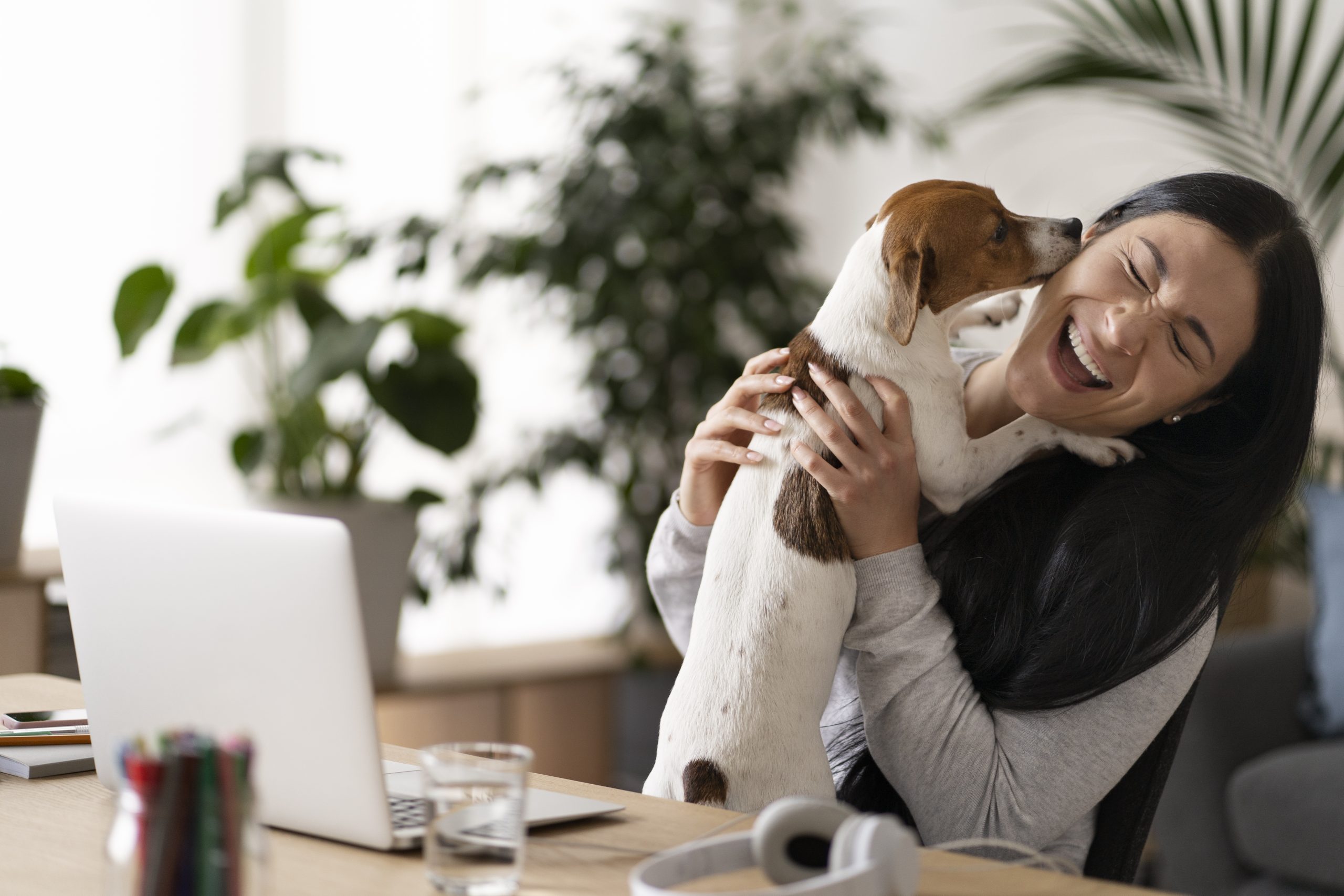 Seguro para Mascotas: la protección que tus mascotas merecen