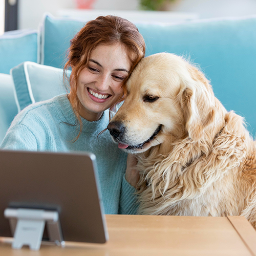 Persona con su mascota consultando en laptop