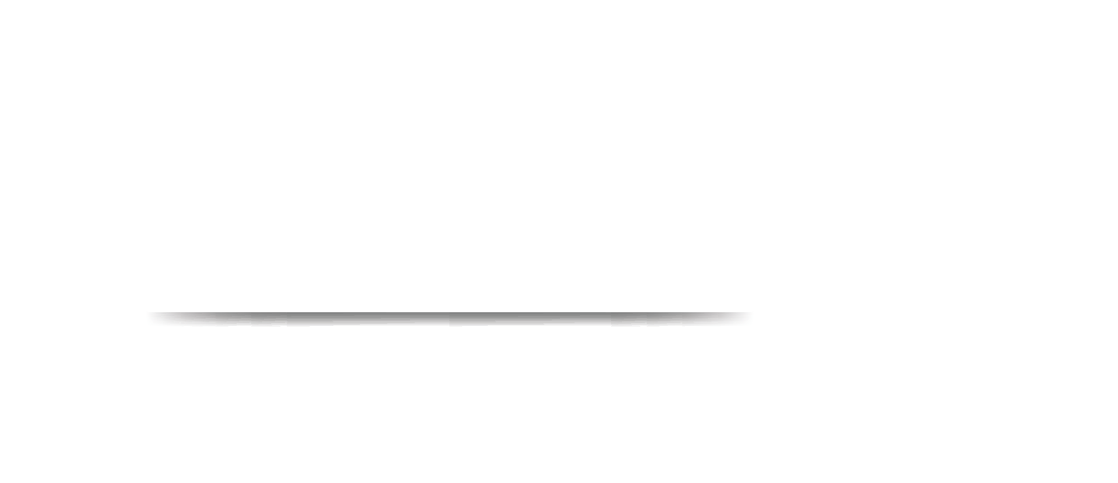 logo qualitas