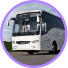 Autobuses